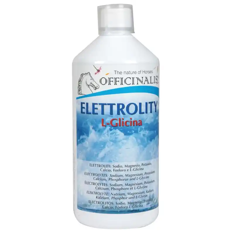 Aktuell OFFICINALIS FLÜSSIGER ELEKTROLYT L-GLYCIN