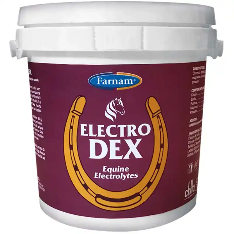 Ausverkauf PFERDE ELEKTROLYTE ELECTRO DEX