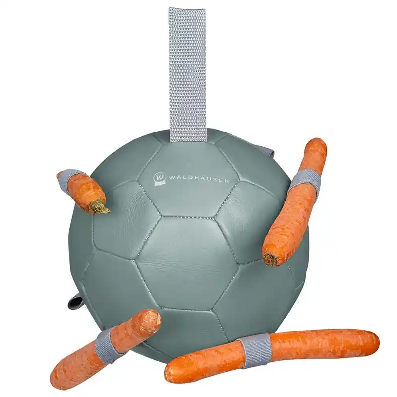 SNACK-BALLSPIEL FÜR PFERDE Zertifiziert