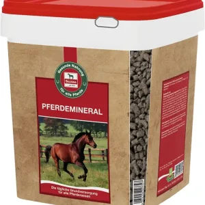 Begrenztes Angebot Salvana Pferdemineral