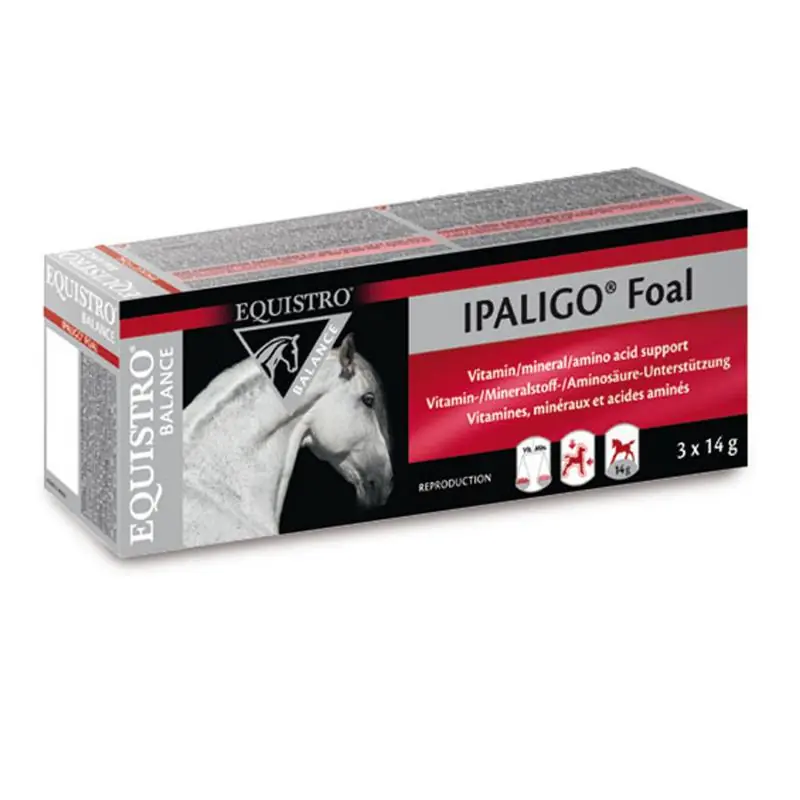Preisreduziert Equistro Ipaligo Foal