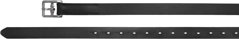 Steigbügelriemen | 29mm | schwarz | 160cm | PAS0027 Knallerangebot