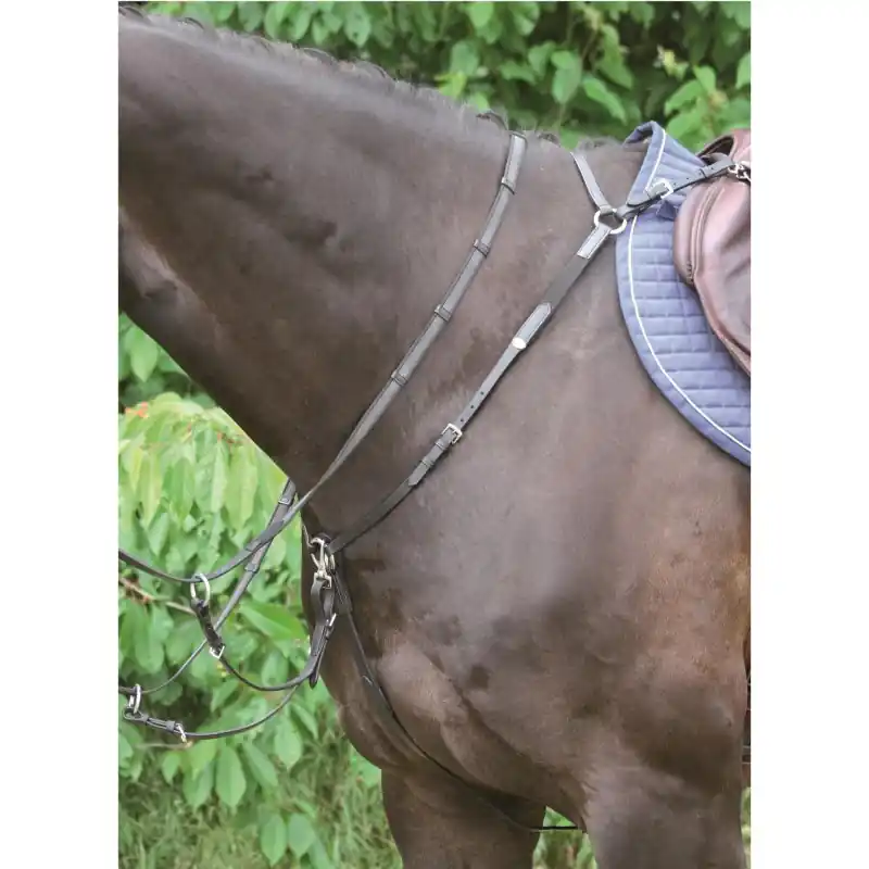 Vorderzeug Bad Harzburg | braun/silber | Pony | 010804.2 Aktuell