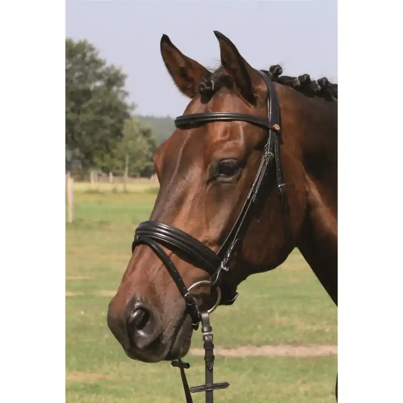 Mega-Angebot Trense Bad Harzburg | schwarz/silber | XX-Warmblut | 020112.7