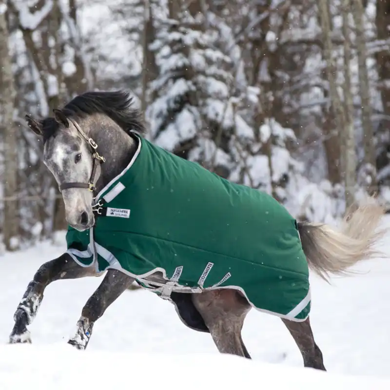 Begrenztes Angebot Horseware Rambo Original with Leg Arches Turnout Heavy 400g - Vert/Argenté , 115