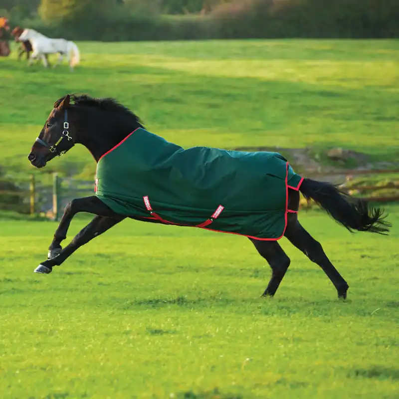 Angebot Horseware Rambo Original Turnout Lite 0g - Vert/Rouge , 160