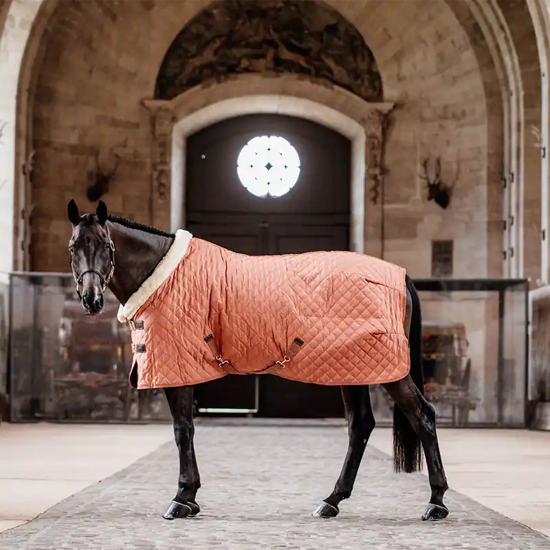 Wochenendangebot Kentucky Horsewear Couverture de concours 160g - Automne Orange , 130