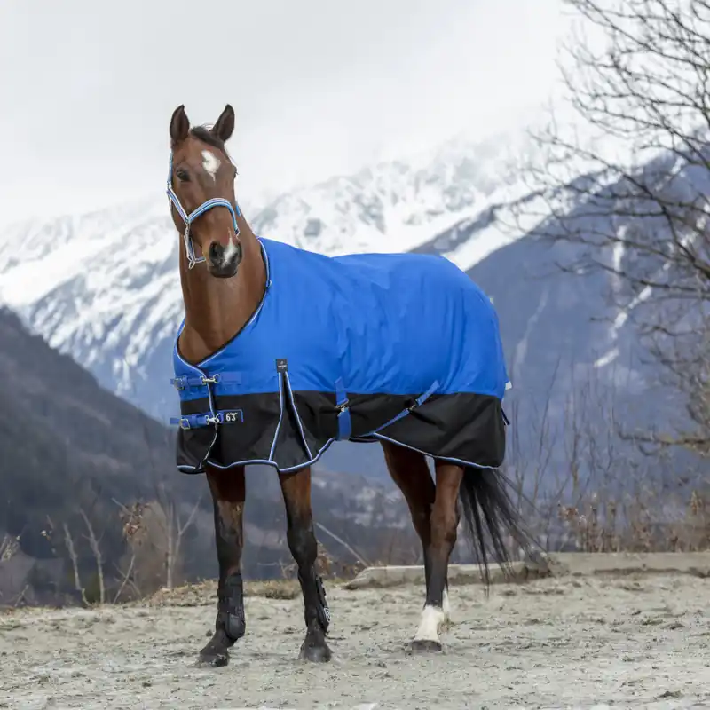 Abverkauf Equithème TYREX 1200D "Aisance" 300g - Bleu/Noir , 105