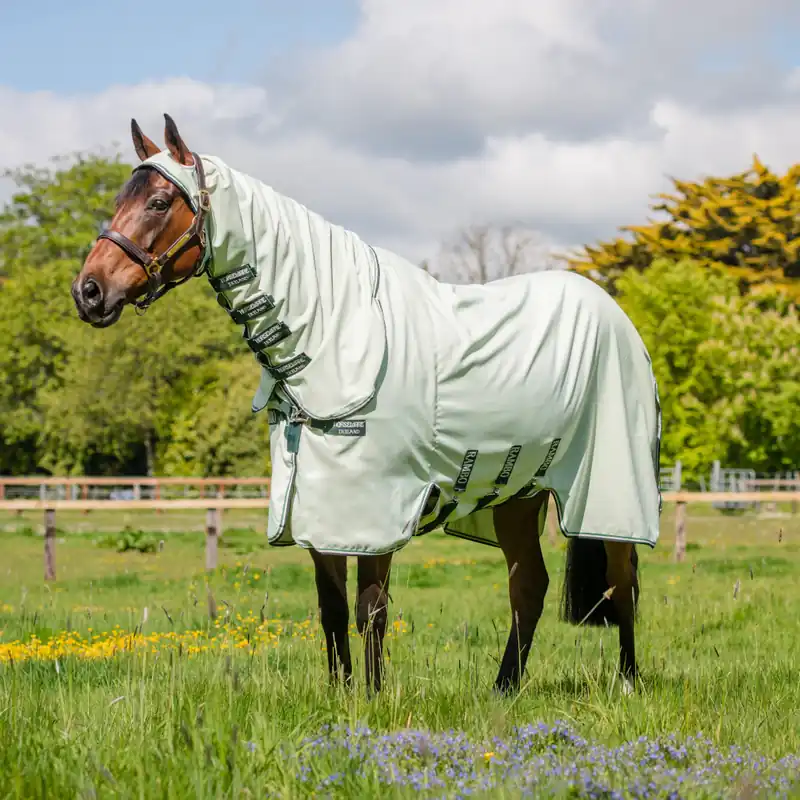 Zertifiziert Horseware Rambo Hoody - Chalk/Hunter Green/Silver, 130