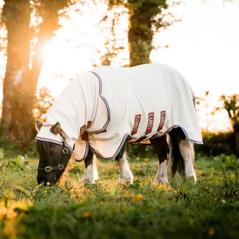 Aktuell Horseware Rambo Petite Hoody - Sand/Cherry, 55