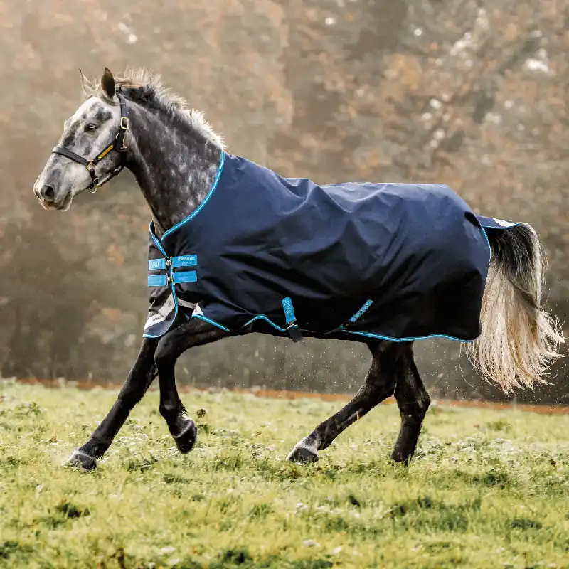 Top-Seller Horseware Amigo Bravo 12 Turnout 50g - Navy/Titanium Grey/Silver, 115
