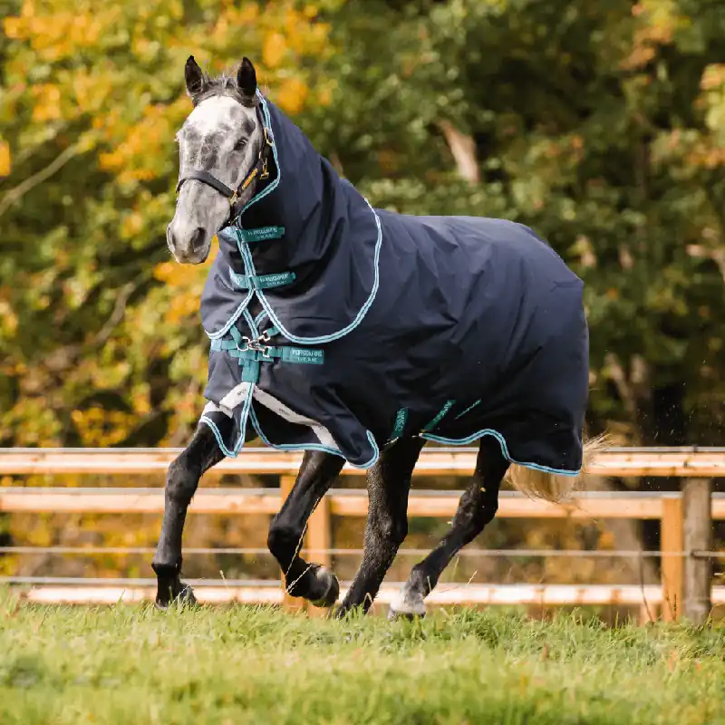 Beliebt Horseware Amigo Bravo 12 Plus Turnout Medium 250g - Black/Titanium Grey/Silver, 140