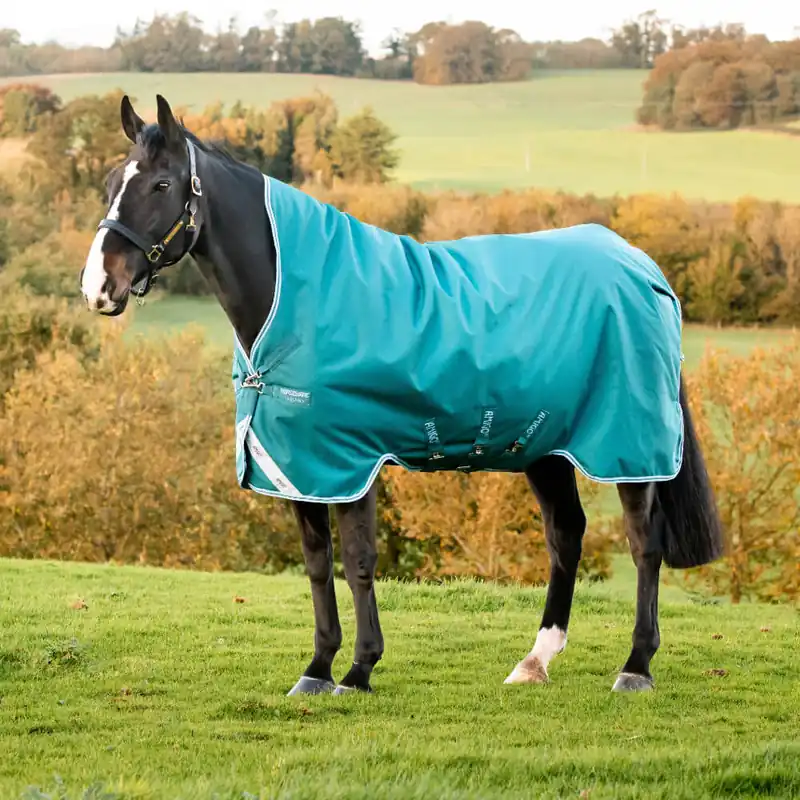 Versand Am Gleichen Tag Horseware Amigo Bravo 12 Turnout Wug Medium 250g - Storm Green, 130
