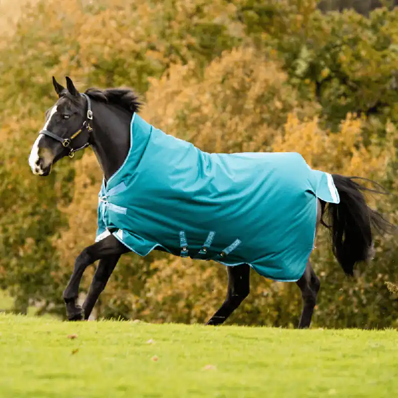 Abverkauf Horseware Amigo Bravo 12 Turnout Wug Heavy 400g - Black/Titanium Grey/Silver, 145