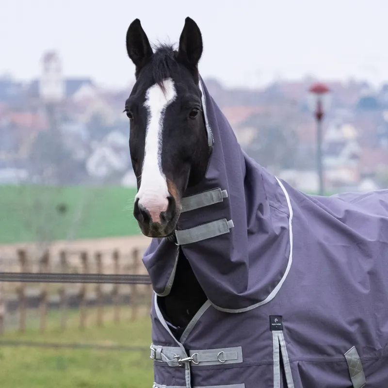Ausverkauf Equithéme Tyrex 1200D recyceltes Couvre-cou  - taupe, Warmblut