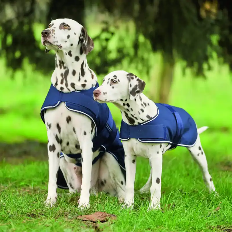 Begrenztes Angebot Waldhausen Couverture de pluie pour chien - marine, 40