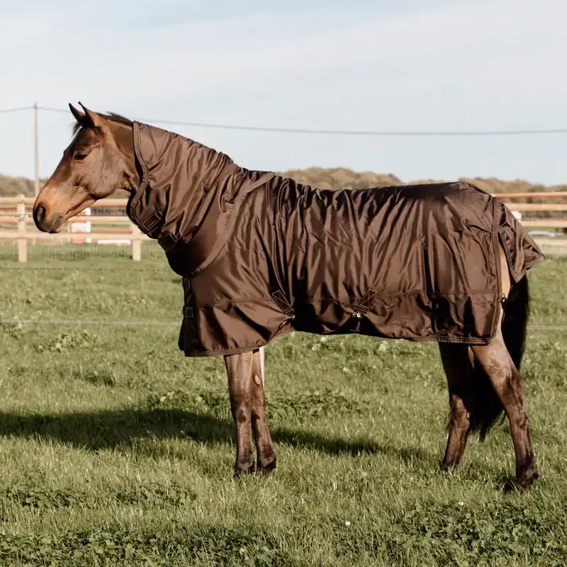 Angebot Kentucky Horsewear All Weather Turnout 160g - Orange - brown, 160