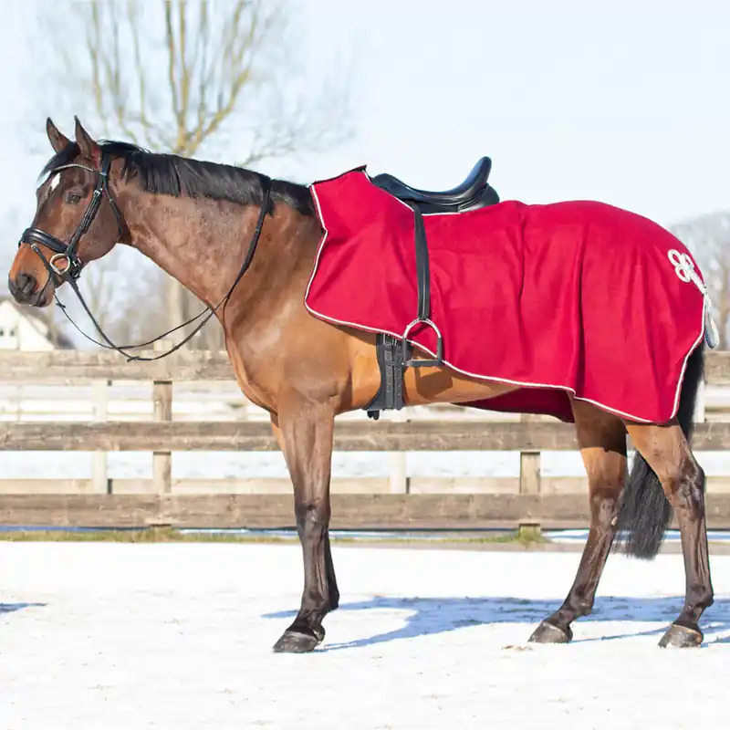Aktuell Couvre-reins en polaire QHP avec ornement - blau/silber, S