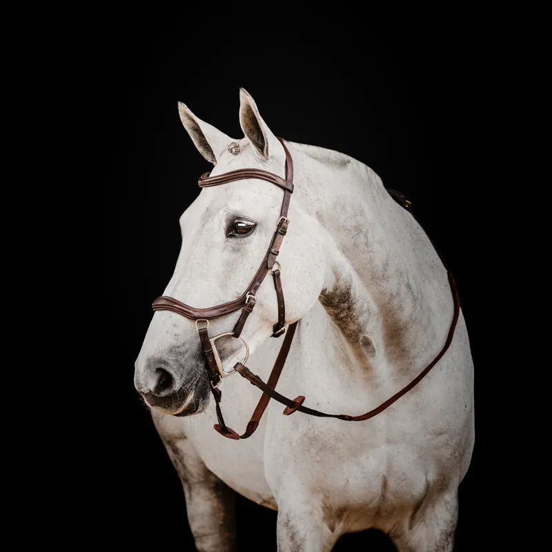 Zertifiziert Bride Horseware Micklem II Deluxe Competition avec rênes - Black, Pony