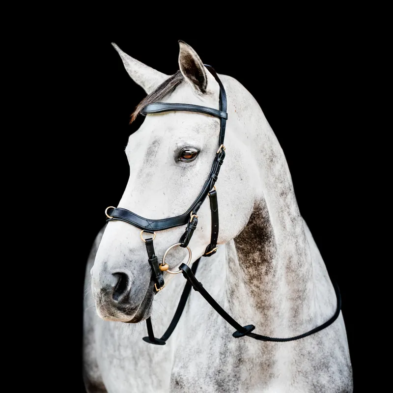 Wochenendangebot Horseware Micklem II Multi Bridle - Dark Havana, Warmblut