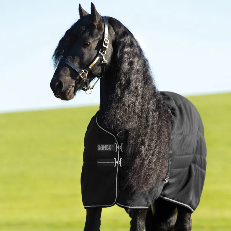 Abverkauf Horseware Rambo Stable 400g - Black/Black & Silver, 140