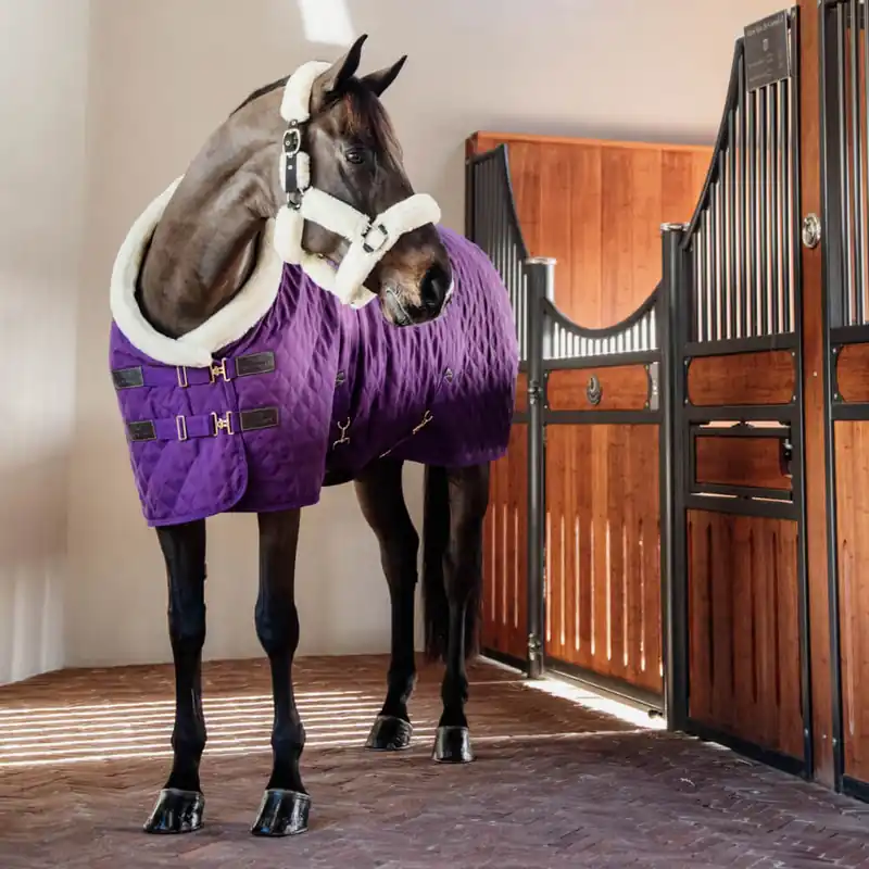 Aktuell Kentucky Horsewear Show Rug 160g - bordeaux, 130