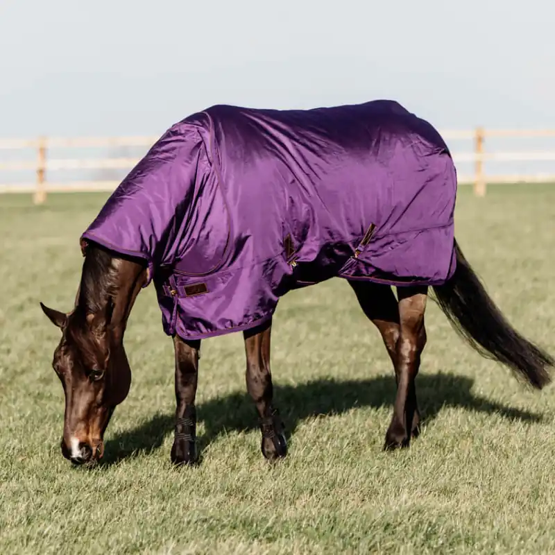 Abverkauf Kentucky Horsewear Couverture d'extérieur imperméable Turnout Rug All Weather Pro 160g - black, 140