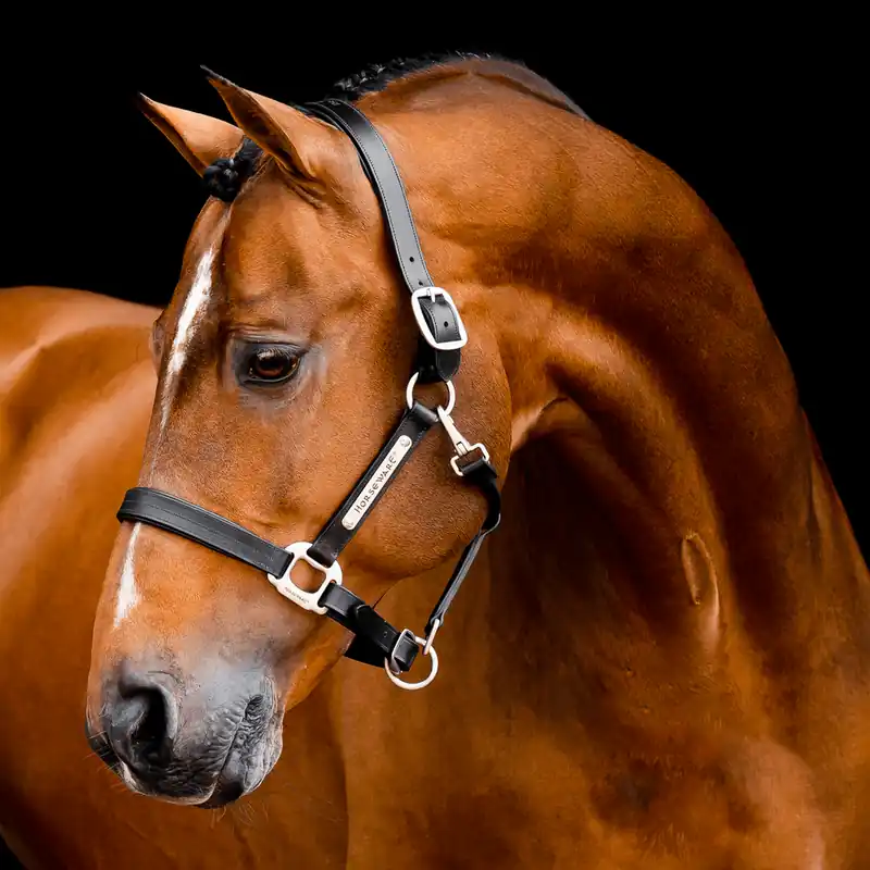 Top-Preis Horseware Signature Leather Headcollar - Brown, großes Warmblut
