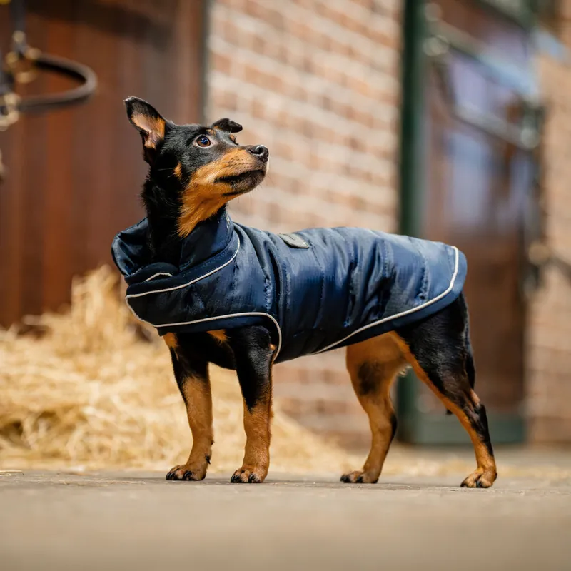 Top-Seller Horseware Signature Dog Rug 200g - Navy, M