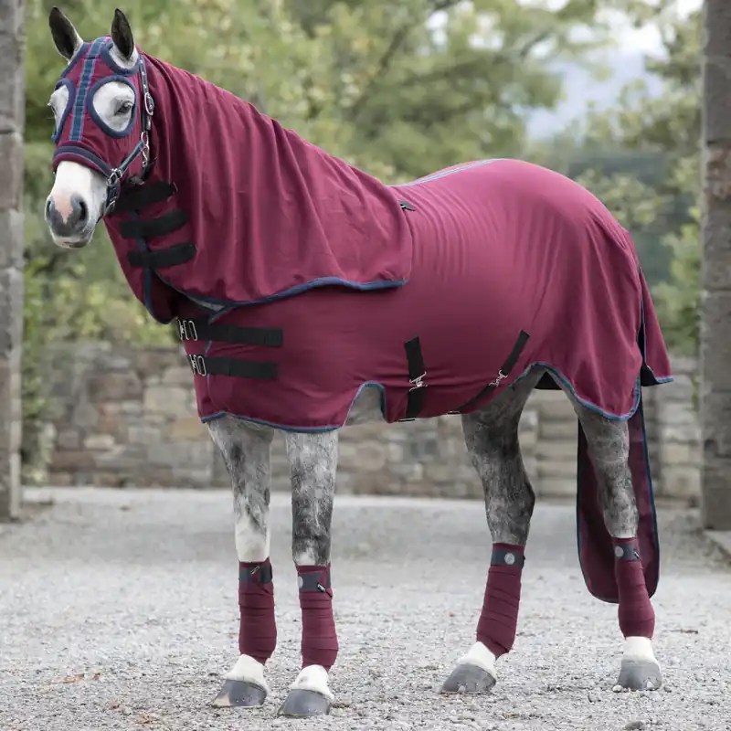Aktuell Horseware Rambo Show Set Sheet - Burgundy , XS