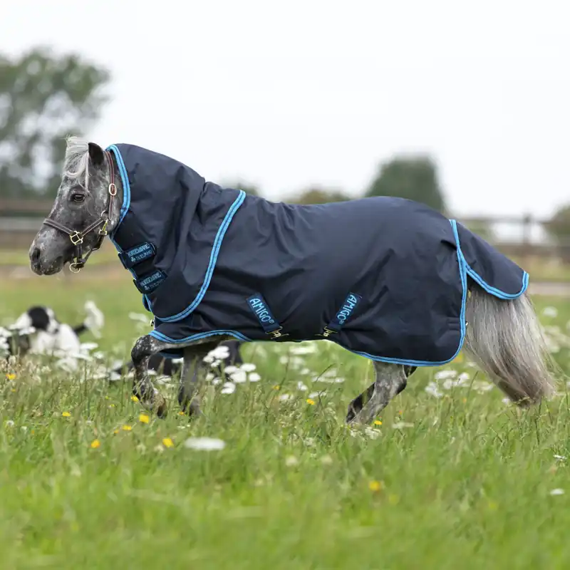 Horseware Amigo Hero 6 Petite Plus Turnout Medium 200g - Navy/Electric Blue , 55 Garantierte Lieferung