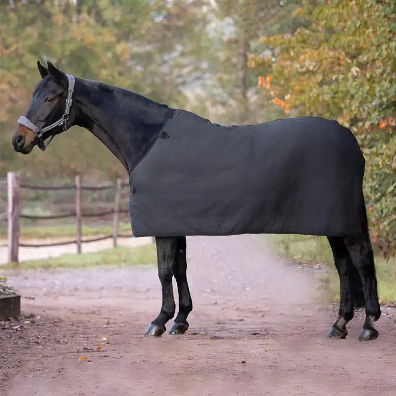 Zertifiziert Waldhausen Economic Fleece Unterdecke - schwarz , 125