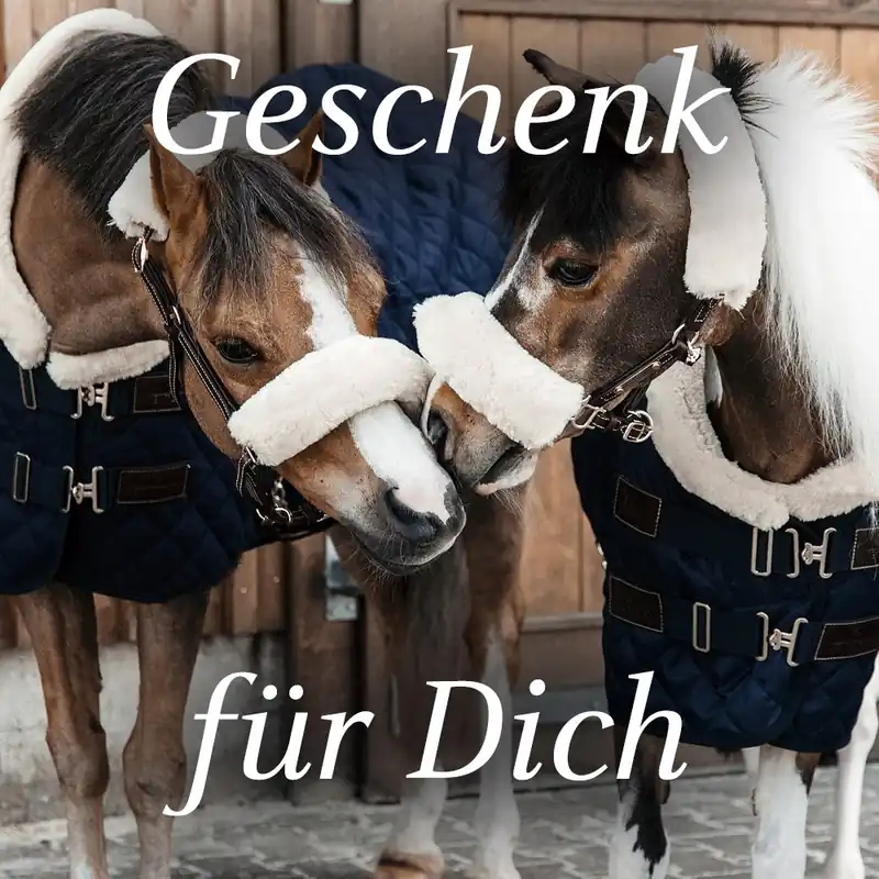 Billig HorSeven Einkaufsgutschein - 90 €, Geschenk für Dich