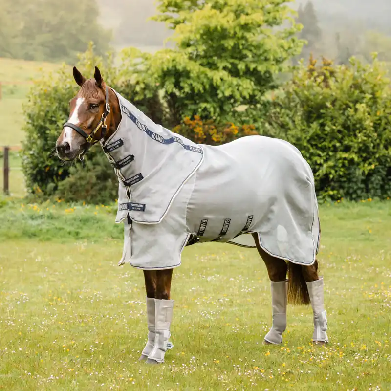 Aktuell Horseware Rambo Protector Plus - Silver/Navy, 125