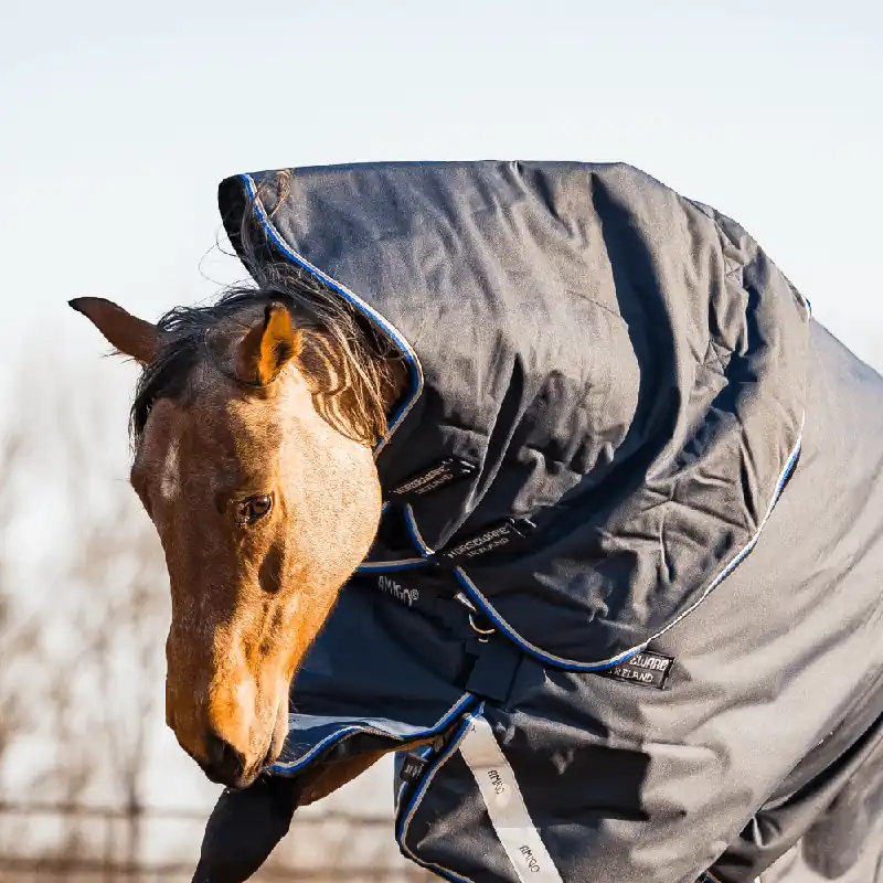 Zertifiziert Horseware Amigo Bravo 12 Hood 150g - Black/Titanium Grey/Silver, S
