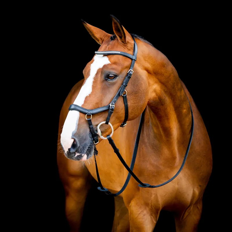 Angebot Horseware Micklem II Diamante Competition Bridle - Black, großes Warmblut