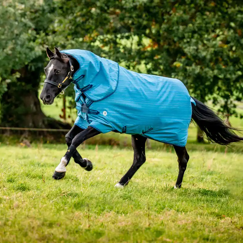 Abverkauf Horseware Amigo Hero 900D Revive Plus 50g - Seasonal Colour, 125