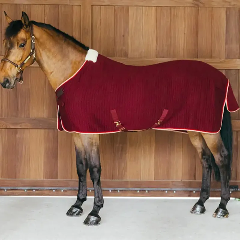 Zertifiziert Kentucky Horsewear Cooler Rug PROTherm - dark green, 140