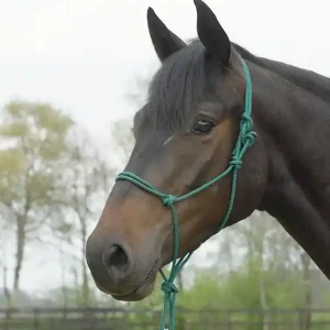 Markenware busse knotenhalfter standard pony vollblut tanne