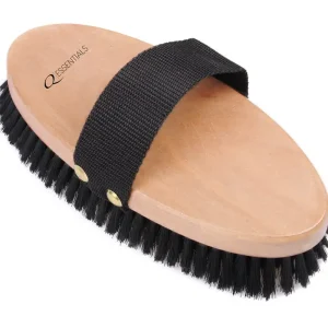 Saisonangebot Kardätsche Color