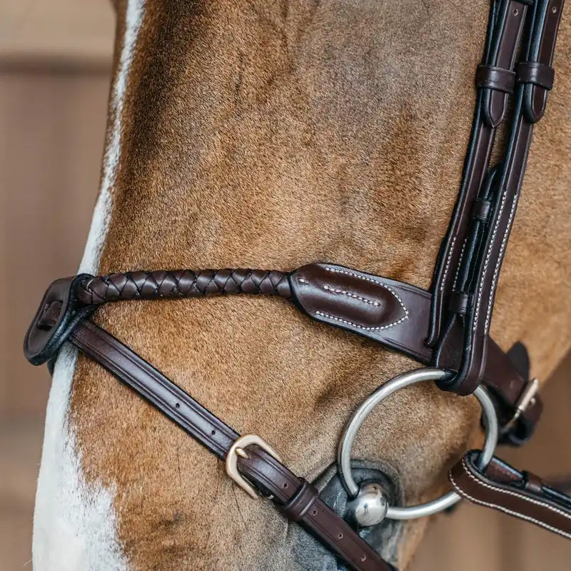 Braided Flash Noseband | Dy'on Highlight