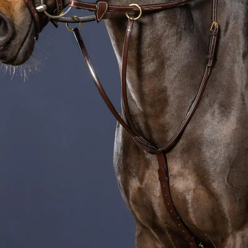 Gleitendes Ringmartingal | Dy'on Jetzt Bestellen